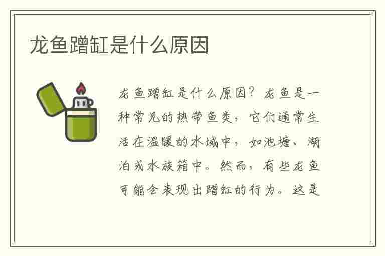 龙鱼蹭缸是什么原因(龙鱼蹭缸是什么原因可以用什么药)